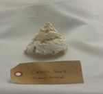 Carrier shell